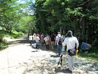 森の工作教室　in　春野山の村