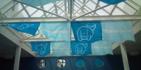 さかなとお初。 2010/05/24 18:48:50