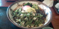 初梅狩り。 2010/05/17 00:25:00