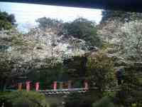 岩水寺。 2009/03/29 10:56:24