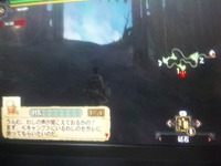 モンハン３。 2009/08/01 23:38:55