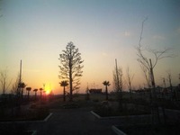 西区の公園。 2009/11/28 00:14:20