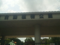 ＺＯＯ。 2010/06/12 23:28:21