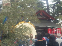 お祭り。 2010/10/22 16:52:33
