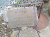 お茶初め。 2011/01/05 16:01:46