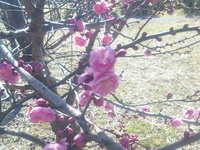 パーク１周。 2011/02/21 00:49:19