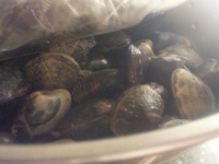 浅利。 2011/03/19 20:54:28