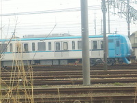 変わり種。 2011/04/08 12:39:55