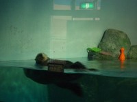 豊橋動植物園。 2010/06/13 13:28:00
