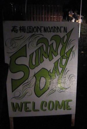 sunny day4