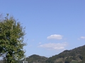 念願の♪
