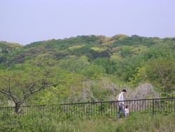 佐鳴湖