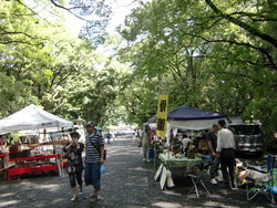 のみの市