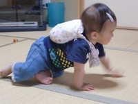 兵庫へ