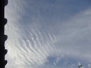 気になる空