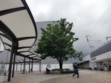今日は三島へ