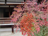 京都