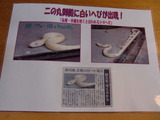 掛川城