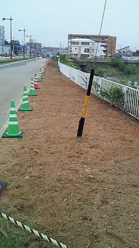 馬込の草取り完了！