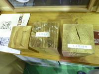 自然乾燥材 2012/06/11 22:42:36