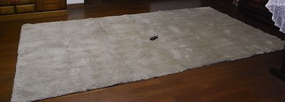 ３畳じゅうたん出来ました。