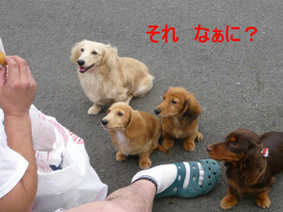 朝マック