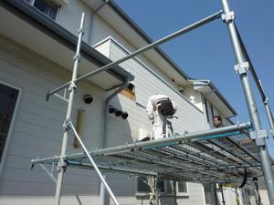 今日の堀井住建！！