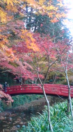 小国神社に行ってきました