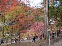 香嵐渓 2009/11/19 11:22:40