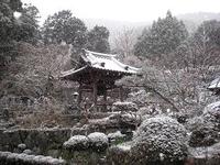 今年はじめてのブログ 2010/01/05 18:39:41