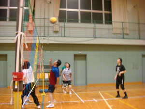6/14の写真　2