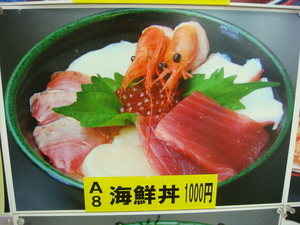焼津へ
