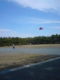 遠州浜で 2008/03/18 13:31:09