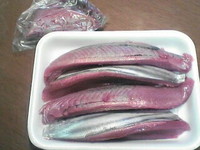 鰹節in御前崎2009