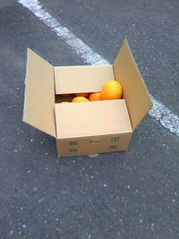 忘れ物