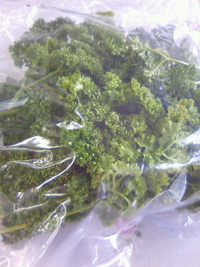 パセリ 2011/05/10 10:00:00