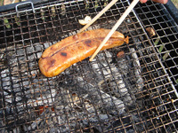 渚園でバーべキュー 2010/08/25 17:32:39