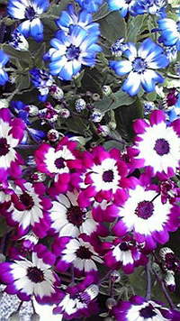 (-.-)Zzz・・・・ 2009/04/08 13:02:20