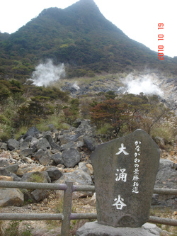 旅。