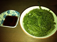 かりゆし。