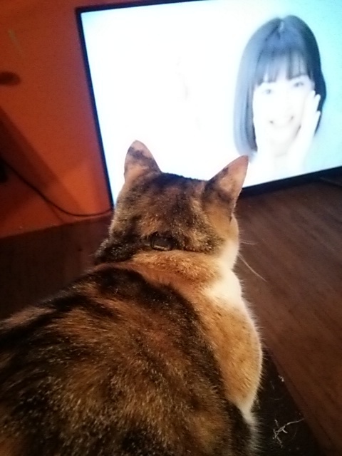 勝ってる