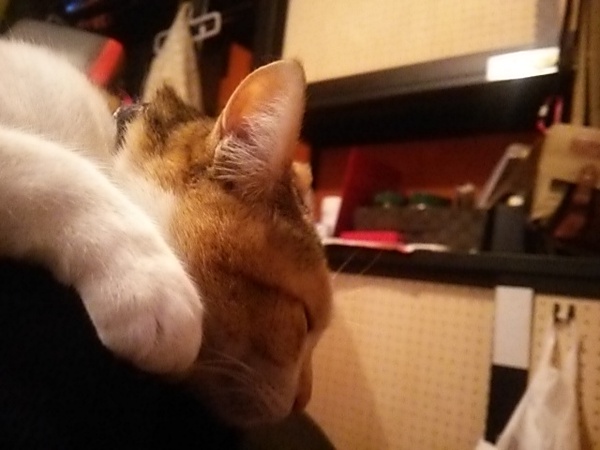 こちらもなかなか