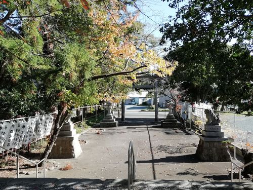 井伊谷宮の紅葉。