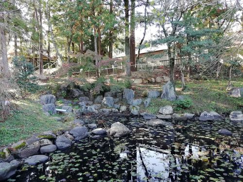 井伊谷宮の紅葉。