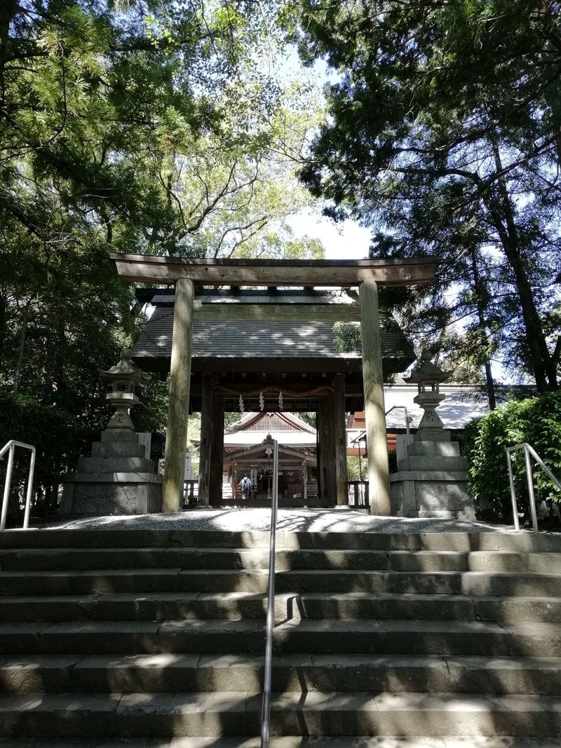 お盆明け