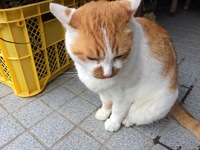 雨だって楽しい。