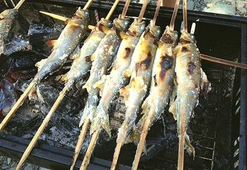 9／2　あたご川バーべキュー
