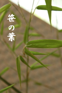 七夕も近し