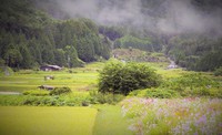 はじめまして　em(エム)です 2016/09/14 01:05:11