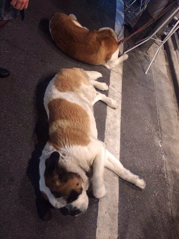 や、　　や、　　　やっぱり　　・・・・・・
